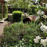Wellness Tilburg- Jacuzzi- Prive Sauna En Zwembad