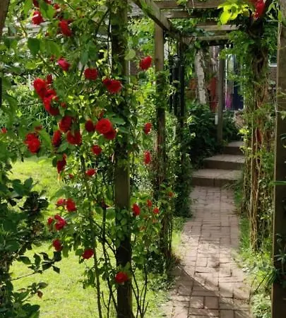 Met Zwembad In Groene Oase Bij Centrum *