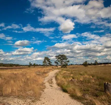 Alloggio in famiglia Met Zwembad In Groene Oase Bij Centrum *