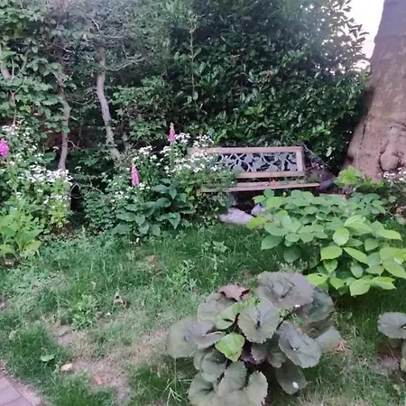 Ecowellness Aan Paradijslijke Tuin Met Privé Sauna * Tilbourg