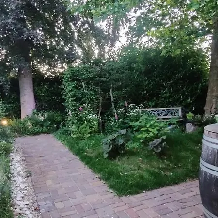 Ecowellness Aan Paradijslijke Tuin Met Privé Sauna Appartement Tilbourg