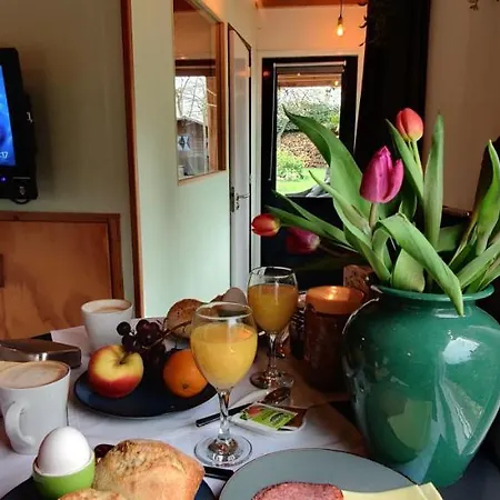 Met Zwembad In Groene Oase Bij Centrum Accommodatie bij particulieren Tilburg