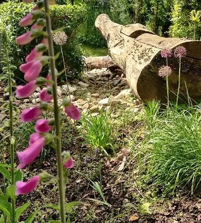 Appartement Ecowellness Aan Paradijslijke Tuin Met Privé Sauna *
