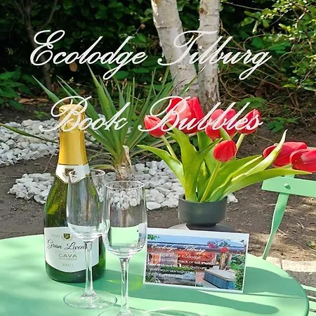 Met Zwembad In Groene Oase Bij Centrum Alloggio in famiglia Tilburg