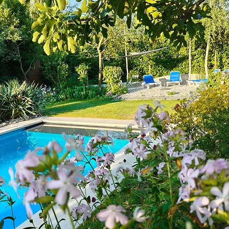 Alloggio in famiglia Met Zwembad In Groene Oase Bij Centrum