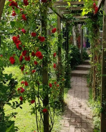 Ecolodge, Jacuzzi Prive Sauna Warm Pool Outside Shower In Oasis Near Centre *
