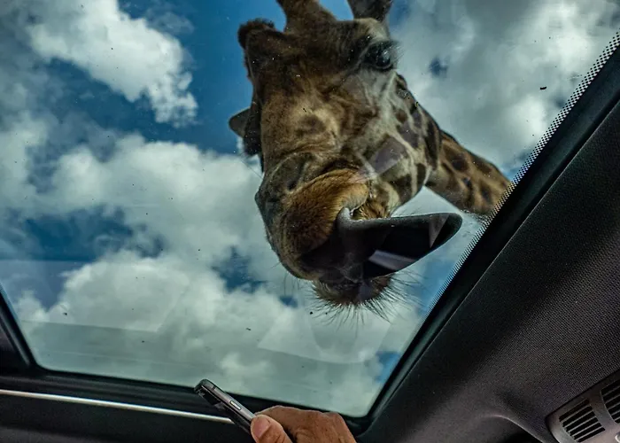 Ecolodge, Jacuzzi Prive Sauna Warm Pool Outside Shower In Oasis Near Centre