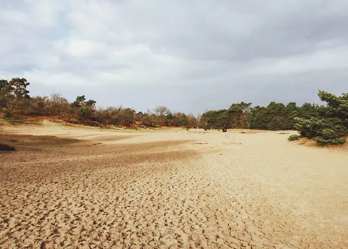 Privatunterkunft Met Zwembad In Groene Oase Bij Centrum *