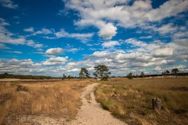 Δωμάτια σε οικογενειακή κατοικία Ecolodge, Jacuzzi Prive Sauna Warm Pool Outside Shower In Oasis Near Centre *