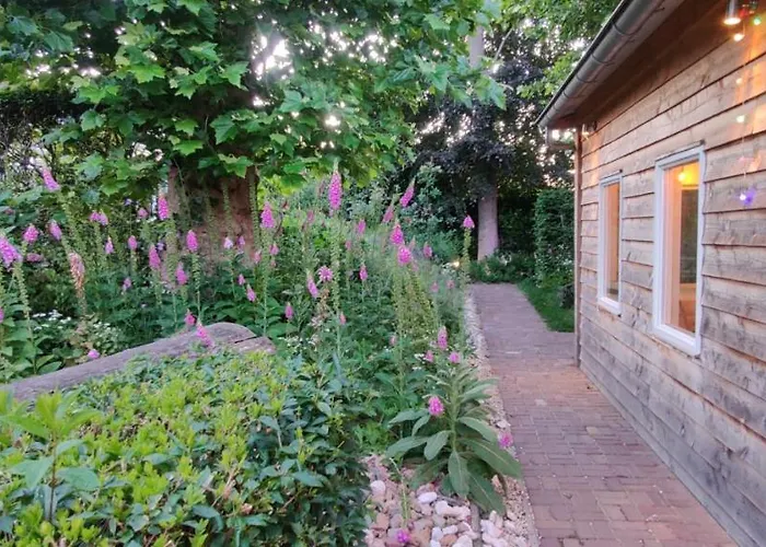Ecolodge, Jacuzzi Prive Sauna Warm Pool Outside Shower In Oasis Near Centre *