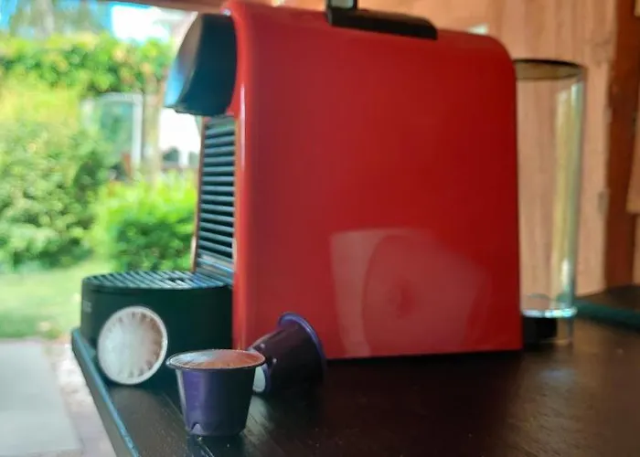 Met Zwembad In Groene Oase Bij Centrum Tilburg