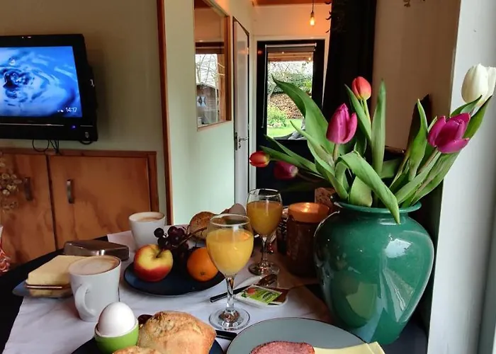 Ecolodge, Jacuzzi Prive Sauna Warm Pool Outside Shower In Oasis Near Centre Δωμάτια σε οικογενειακή κατοικία Τίλμπουργκ