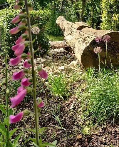 Δωμάτια σε οικογενειακή κατοικία Ecolodge, Jacuzzi Prive Sauna Warm Pool Outside Shower In Oasis Near Centre *