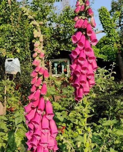 Privatunterkunft Met Zwembad In Groene Oase Bij Centrum