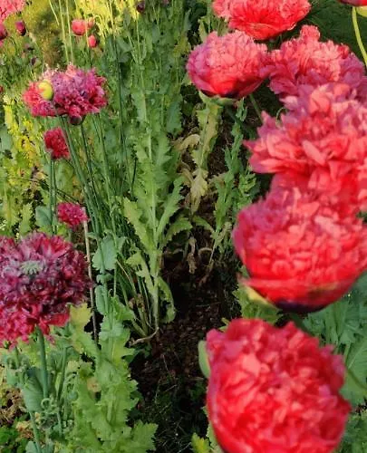 Ecolodge, Jacuzzi Prive Sauna Warm Pool Outside Shower In Oasis Near Centre Δωμάτια σε οικογενειακή κατοικία *