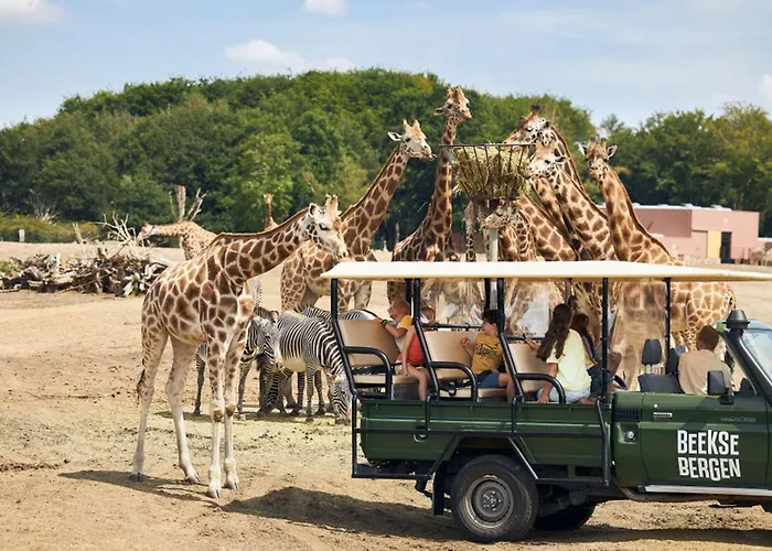 Met Zwembad In Groene Oase Bij Centrum